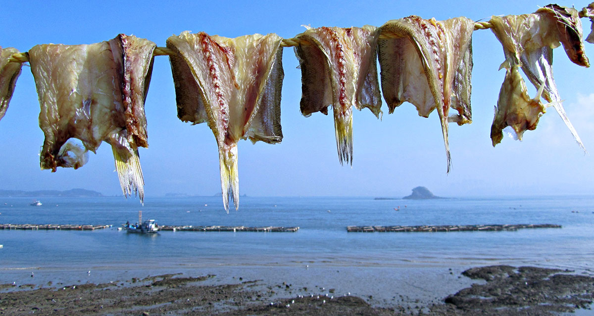 73 효자도 둘레길 – 백섬백길