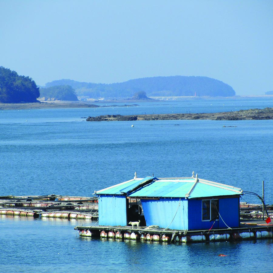 73 효자도 둘레길 – 백섬백길